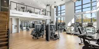 Aster Aster Gallery 11