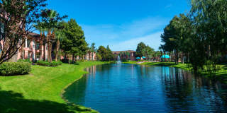 Las Palmas Gallery 7