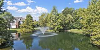 Preserve at Bartlett Gallery 38