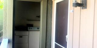 5942 Peregrine Gallery 15