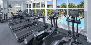 The Carlyle Gallery 5