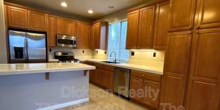 10691 Fire Poppy Circle Gallery 8