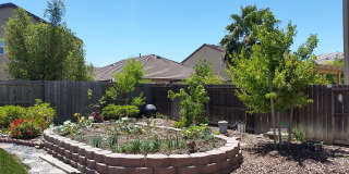 Charming 4 Bedroom Home in Springlake Gallery 47