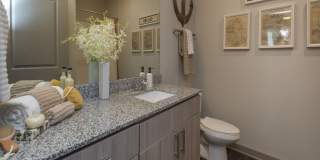 Mariner Grove Gallery 29