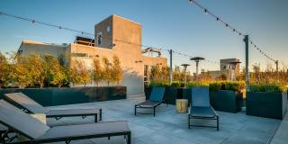 Alta Potrero Gallery 15