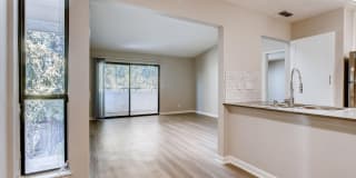 Larkspur Larkspur Gallery 14