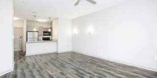 RIZE at Winter Springs Gallery 75