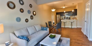 The Fenimore Gallery 8