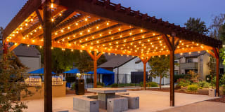 Juniper Apartments Gallery 7