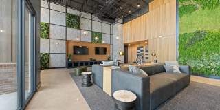Banyan on Washington Gallery 24