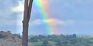 8808 CHATLAKE Dr Gallery 30