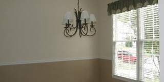 207 Cove Creek Drive Gallery 9