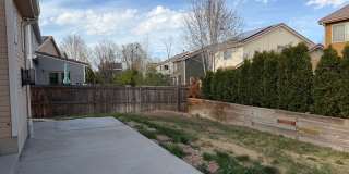 Spacious and Bright 3BD Home in Denver - Available Now Gallery 26