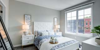 Axis 201 Axis 201 Gallery 10