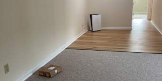 Graduate and Professional Gallery 106