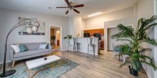 51 at Southaven Gallery 6