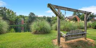 Turtle Lake Gallery 35