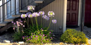 Camino Woods Gallery 3
