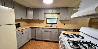 Tiki Ln 14250 Gallery 21