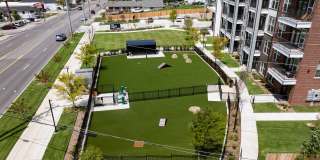 Rye Charlotte Ave Gallery 6