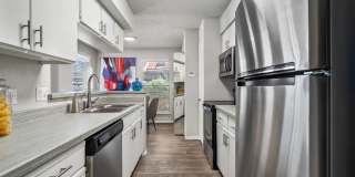 Serafina at South Mountain Gallery 2