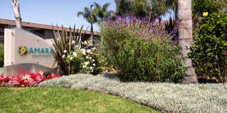 Amara Apartments Gallery 25