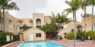 5252 Orange Avenue #611 Gallery 22