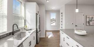 Reverie Belmont Gallery 23