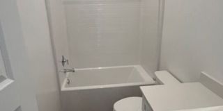 3533 Chestnut Grove Ln Gallery 7