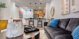 Troubadour Gallery 2