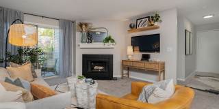 Steeplechase Gallery 35