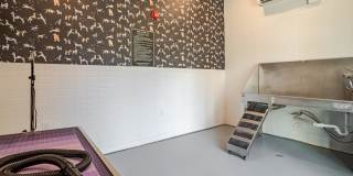 Alexan Overlook Gallery 45