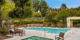 28511 Trento Way Gallery 35