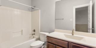 561 CREEKSIDE Forest Gallery 8