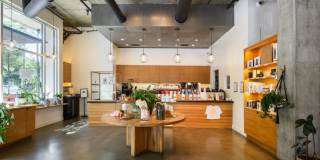 16 Powerhouse Gallery 33
