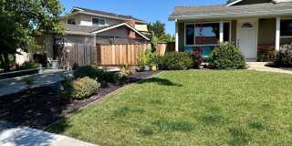 Updated Single Story Home with Cupertino Schools Gallery 3