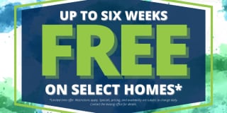 The Vintage Gallery 2