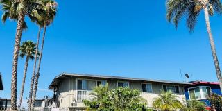 4115 Palmwood Gallery 20