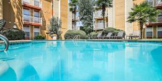 Sawmill Creek Gallery 25