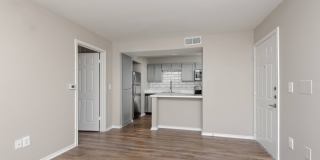 Oak Forest Gallery 19