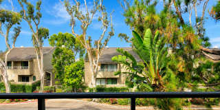 Los Arboles Apartments Gallery 15