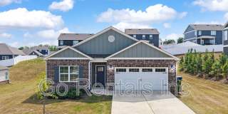 2020 Lonesome Hen Lane Gallery 1