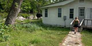 1110 Burnham Ranch Rd Gallery 1