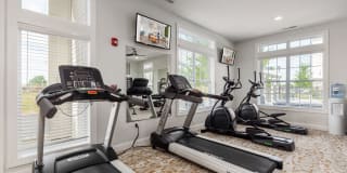 The Attleigh Gallery 15