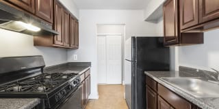 Carolina Village Gallery 17