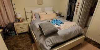 College Station - 3 bedroom /3 bath HOUSE Near TAMU! Gallery 14