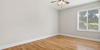 247 Hamilton Avenue Gallery 12