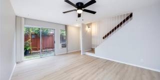 46-78 Emepela Place Gallery 2