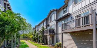 Aster Townhomes Gallery 4