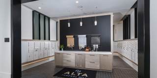 Alta Federal Hill Gallery 25